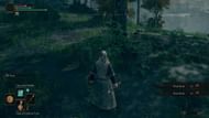 Simply run up and pluck it from the ground (Image via FromSoftware)